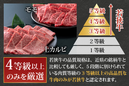 【福井のブランド牛肉】若狭牛焼肉食べ比べセット 1kg(上カルビ500g×1パック・モモ500g×1パック)【4等級以上】