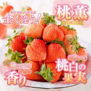 a30-225　いちご「 桃薫・きらぴ香」食べ比べセット 計12パック