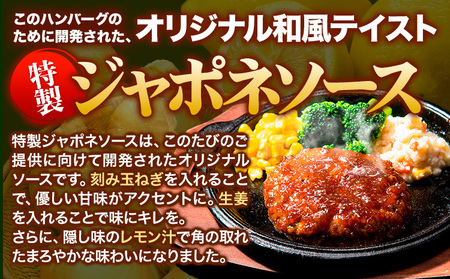 ハンバーグ 10個 国産のお肉使用！ 鶏肉不使用 温めるだけ 「通の贅沢ハンバーグ」特製ジャポネソース 《7-14日以内に出荷予定(土日祝除く)》 牛 訳あり 小分け 
