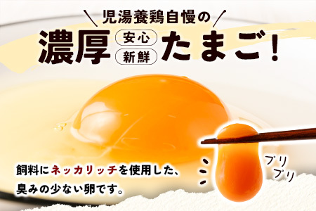 ＜7月配送開始＞児湯養鶏自慢の卵ネッカリッチ赤たまご「児湯一番」 計120個 （20個入×2箱）×3か月定期便【C55-2607】