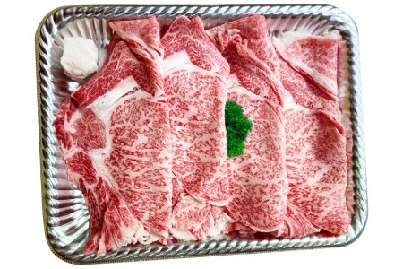 AF196【数量限定・A4ランク以上】 長崎和牛 特選ロース 500g