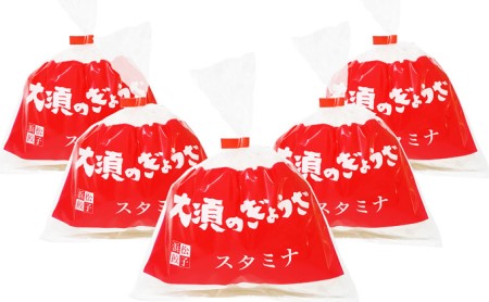 浜松餃子 大須のぎょうざ［ 浜松ぎょうざ にんにくマシマシ！元気回復！＜ スタミナ味 ＞］× 5袋（1袋20個入、合計100個） 惣菜 冷凍 冷凍ギョーザ 夕飯 つまみ 中華 ヘルシー ジューシー 手作り餃子 