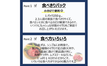 【12回定期便】バチマグロ切落し×びん長マグロ中トロ切落し 合計1kg（各250g×2パック）×12回【配送不可：離島】 天然マグロ 赤身 