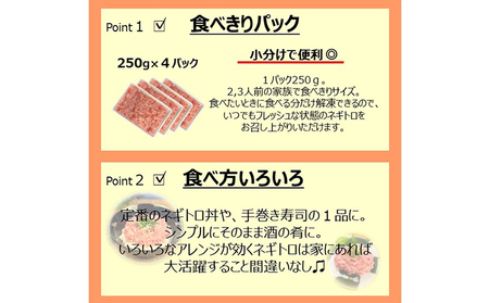 【12回定期便】SANKO海商のネギトロ 1kg（250g×4パック）×12回【配送不可：離島】 魚の加工品 ネギトロ丼 魚介類 手巻き寿司 