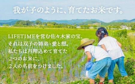 米 ササニシキ サラサラすすむ"安心"のお米 玄米 20kg 化学肥料不使用 お米 コメ こめ ささにしき ご飯 ごはん 主食 ライス 産地直送 国産 宮城県 石巻市