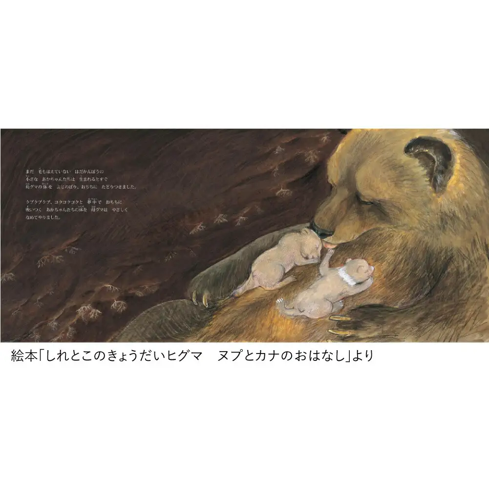 知床財団オリジナル絵本セット_雑貨   