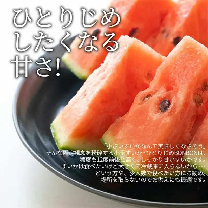 《先行予約 2026年7月中旬～7月下旬発送》山形県産 ひとりじめぼんぼん 2玉 3kg前後 FSY-2395