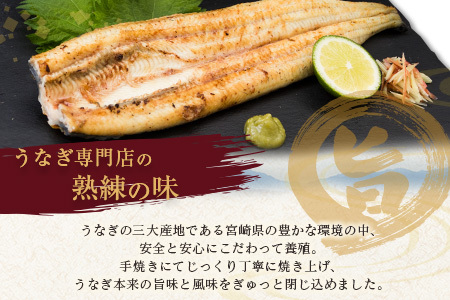 うなぎ 白焼き 2尾×3ヶ月 定期便 鰻 E209