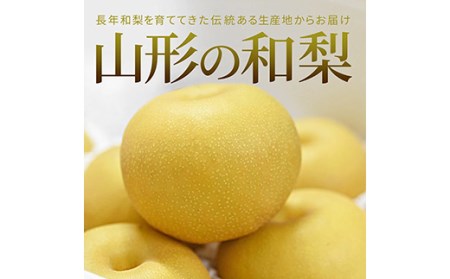 《先行予約 2026年9月中旬発送》山形県産 和梨 約3kg なし ナシ 梨 デザート フルーツ 果物 くだもの 果実 食品 山形県 FSY-0457