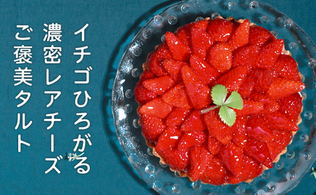 イチゴ たっぷり レアチーズタルト 手作り いちご 苺 チーズタルト タルトスイーツ ギフト 冷凍