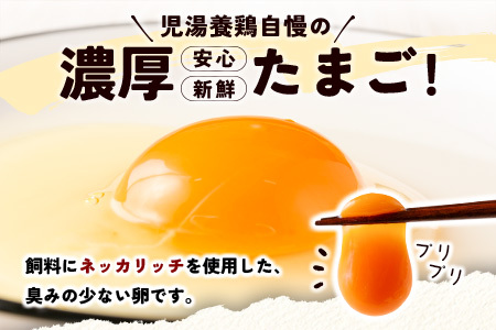 ＜2026年6月配送開始＞児湯養鶏自慢の卵 ネッカリッチ赤たまご「児湯一番」 計480個 （20個入×2箱）×12か月定期便【E19-2606】