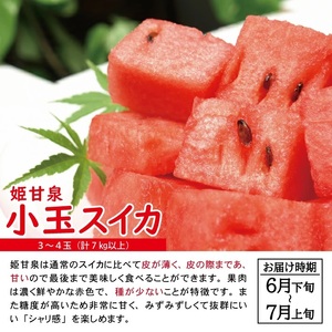 SE0505　【3回定期便】自然の恵み　夏・秋フルーツ定期便2026 (小玉スイカ、彩りメロン［青肉・赤肉］、柿)