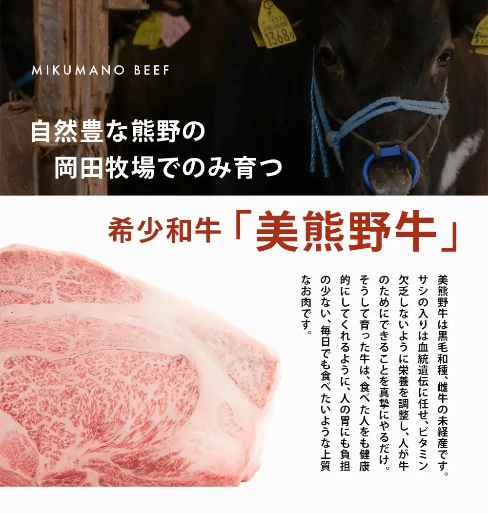 牛肉 切り落とし 美熊野牛 400g 牛肉切り落とし【okad0005】