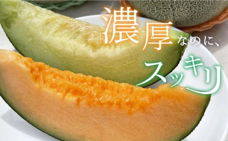 【先行予約】【2026年6月順次発送】やしろ農園の椿メロン 赤肉 緑 メロン フルーツ 果物 食べ比べ 五島市 / いきいきファーム [PCY008]
