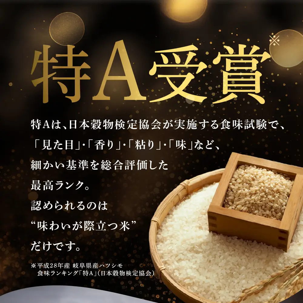 【令和7年度産】精米 ハツシモ 10kg｜ハツシモ