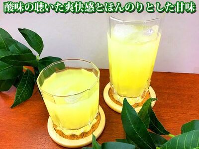 万能果汁！有機JAS認証かぼす果汁（500ml）×3本