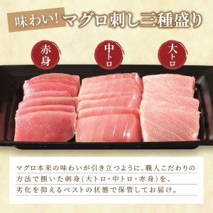 まぐろ・とらふぐ・アジフライ「松浦を食べる」ご馳走セット( 魚 海鮮 鯵 マグロ 詰め合わせ )【E8-010】