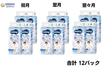 【3ヶ月連続定期便】ムーニーマン  男の子用 ビッグサイズ 38枚×4袋 