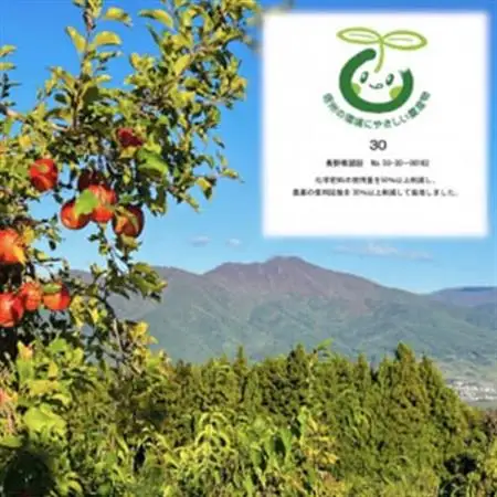 【訳あり】【先行受付】 りんご サンふじ 10kg 家庭用 長野県産【1496268】