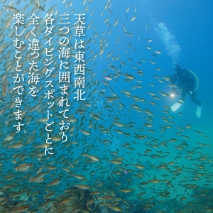 S134-005_よかよか体験チケット30,000円