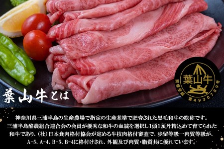 【 神奈川県産 黒毛和牛 】 三浦市 の 佐藤牧場 が育てた 葉山牛 肩ロース すき焼き肉 2P M079-007-01 肉 牛肉 冷凍
