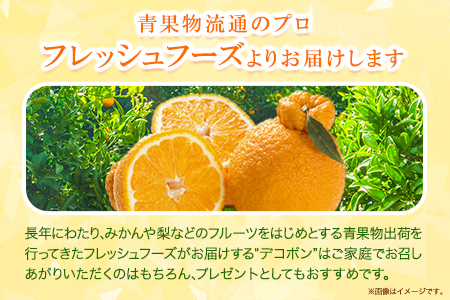 デコポン 約3kg 熊本県産 (荒尾市産含む) 不知火 柑橘 フルーツ 果物 フレッシュフーズ 《2027年3月上旬-4月中旬頃出荷》 美味しいデコポン 旬のデコポン ジューシーデコポン フルーツデコポン