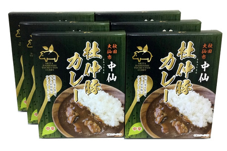 カレー 中仙の杜仲豚カレー 中辛 6食 セット 物産中仙 秋田県 大仙市