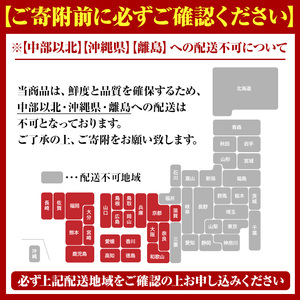 ＜定期便・全2回(冷蔵便)＞鹿児島県産！阿久根のきびなごお刺身セット(40尾×4P×2回)国産 魚介 おつまみ おかず 頒布会 青魚 子魚 小分け【椎木水産】akn054-10