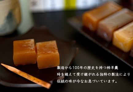 【大月の銘菓】ミニ羊羹セット(5本入×2)