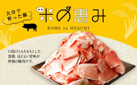 大分県産 ブランド豚「米の恵み」こま切れ・ミンチセット 合計2kg 各1kg