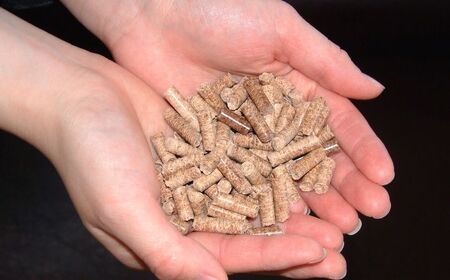 カーボンオフセット CO2（二酸化炭素）削減量 1t《足寄町》【北海道森林バイオマス吸収量活用推進協議会】CO2 CO2削減 二酸化炭素 SDGs 温暖化 環境 木片ペレット ゼロカーボン あしょろ 北海道[BEAS002]