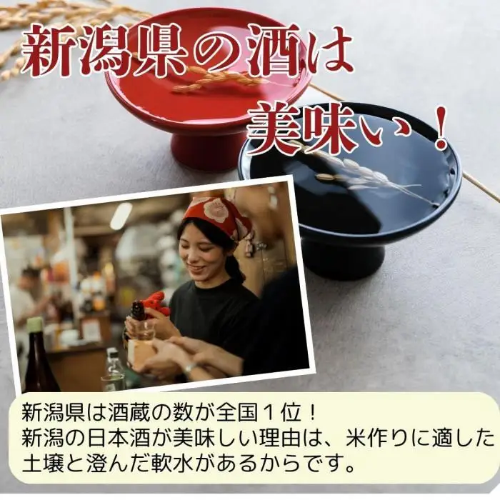 【ふるさと納税】日本酒 飲み比べセット 越後銘門酒会長岡の銘酒 飲み比べ 300ml×5本 （越乃寒梅 八海山 吉乃川 越の誉 越後桜） 新潟 セット 辛口 ギフト 正月 年越し