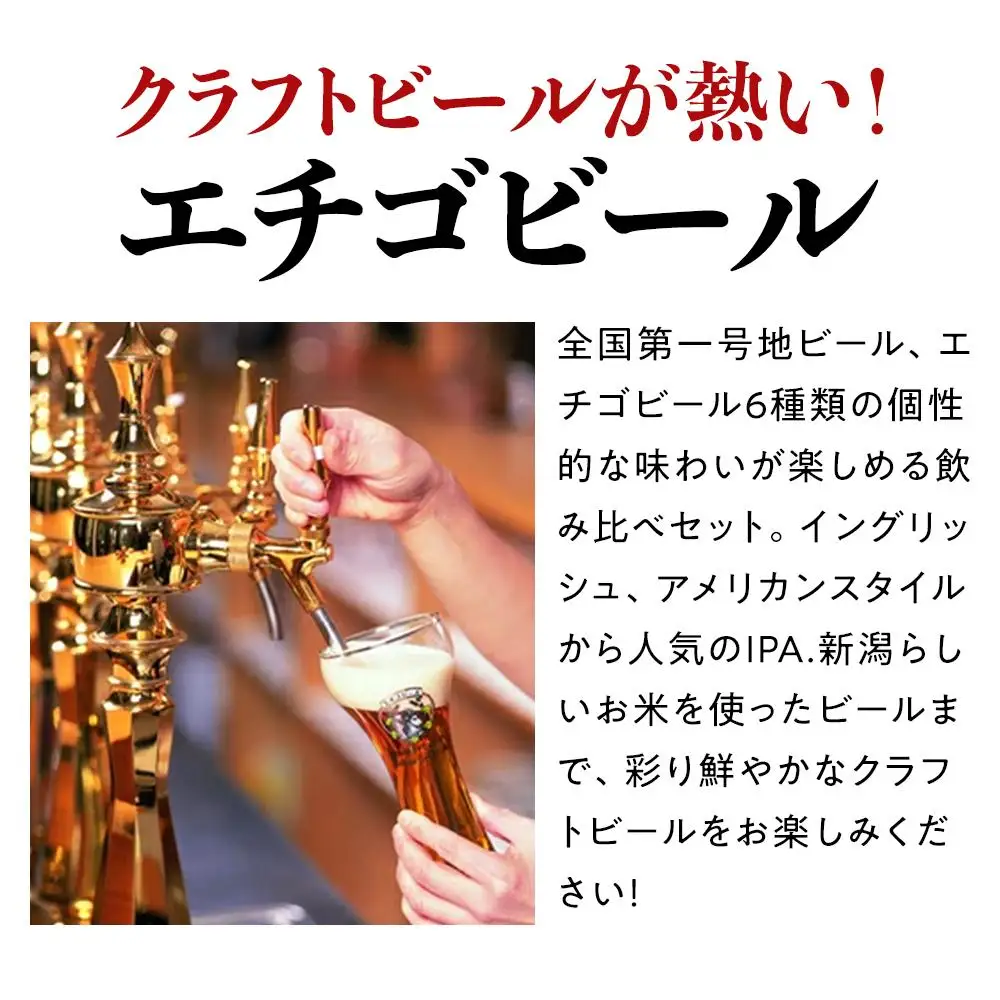 GB-06全国第一号地ビール エチゴビール飲み比べセット350缶×6本