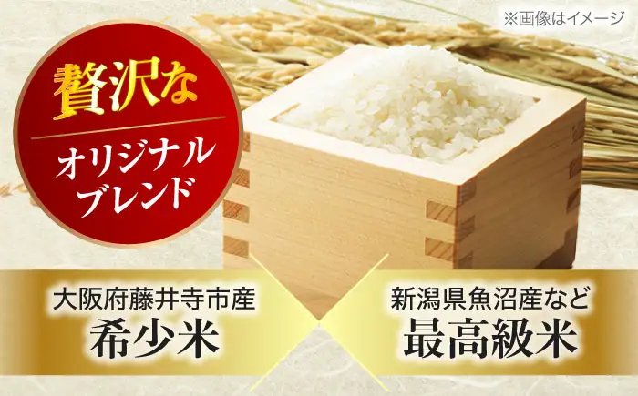 お米 白王(HAKUO) 2kg お米 BLAZ001