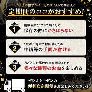 ＜定期便・全4回(4月・7月・10月・12月)＞鹿児島県産！黒毛和牛満喫定期便(総量2.3kg超)国産 九州産 鹿児島産 牛肉 国産牛 もも モモ肉 もも肉 スライス サーロイン ステーキ 切り落とし 切落し ロース 焼肉 焼肉セット 赤身 A4 頒布会【スターゼン】akn042-21