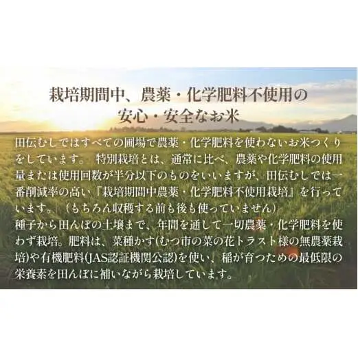 特別栽培米 ササニシキ 白米 3kg