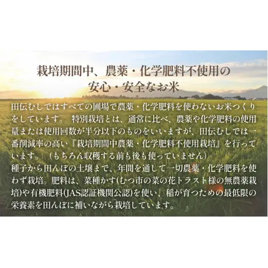 特別栽培米 ササニシキ 白米 5kg