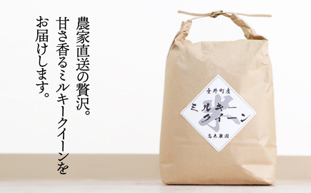 《令和7年産》岐阜県産 ミルキークイーン 10kg（5kg×2） | 垂井町産 お米 米 こめ コメ 白米 精米 ご飯 ライス 産地直送 ギフト 贈答用 プレゼント リピーター多数