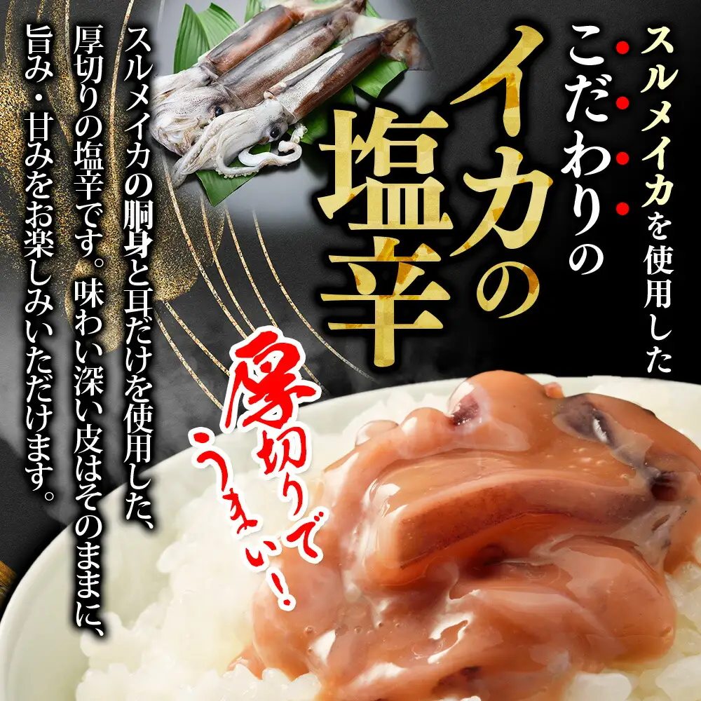 3163. イカの塩辛 500g イカ スルメイカ いか 珍味 海鮮 魚介 塩辛 ご飯のお供 烏賊 送料無料 北海道 弟子屈町