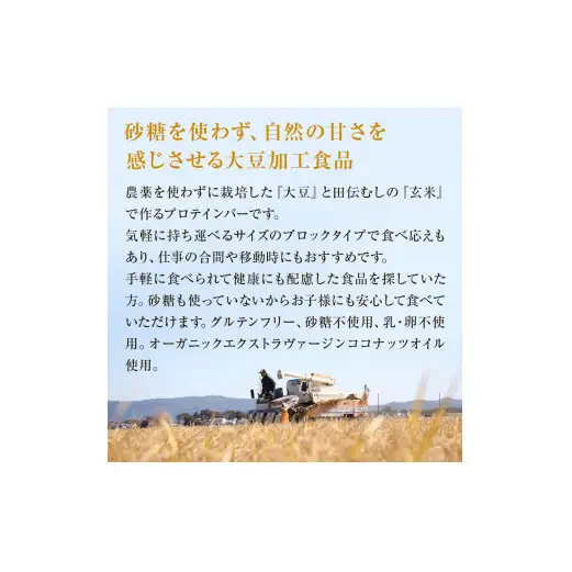 プロテインバー だいずばぁ 4種×3本入り グルテンフリー 砂糖不使用 国産原料