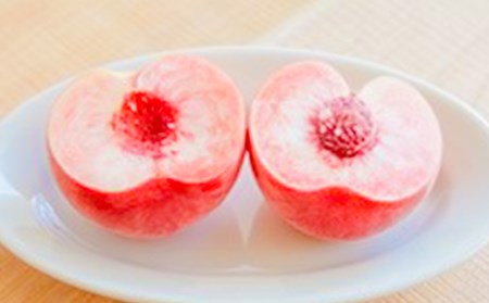 《先行予約 2026年発送》【硬い桃好きの方へ】大人気！おどろきのパリパリ食感！ 山形産もも2kg もも モモ 桃 デザート フルーツ 果物 くだもの 果実 食品 山形県 FSY-2868