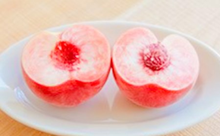 《先行予約 2026年発送》パリっとおどろき食感！山形産もも3kg もも モモ 桃 デザート フルーツ 果物 くだもの 果実 食品 山形県 FSY-2869