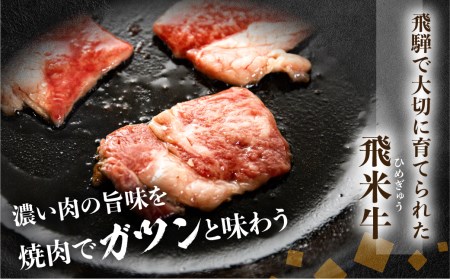 《簡易包装》飛米牛ロース焼肉用300g［Q2438］