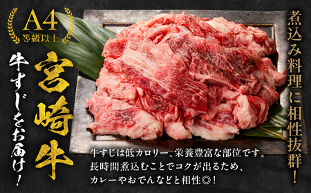 牛肉 牛すじ 牛肉[宮崎牛 2kg 肉 精肉 すじ肉 国産牛 黒毛和牛 和牛 国産 宮崎県産 A4 4等級以上 パック 冷凍 おつまみ つまみ 料理 アレンジ カレー おでん 牛すじ煮込み 煮込み料理 牛すじカレー グルメ おすすめ 宮崎市]