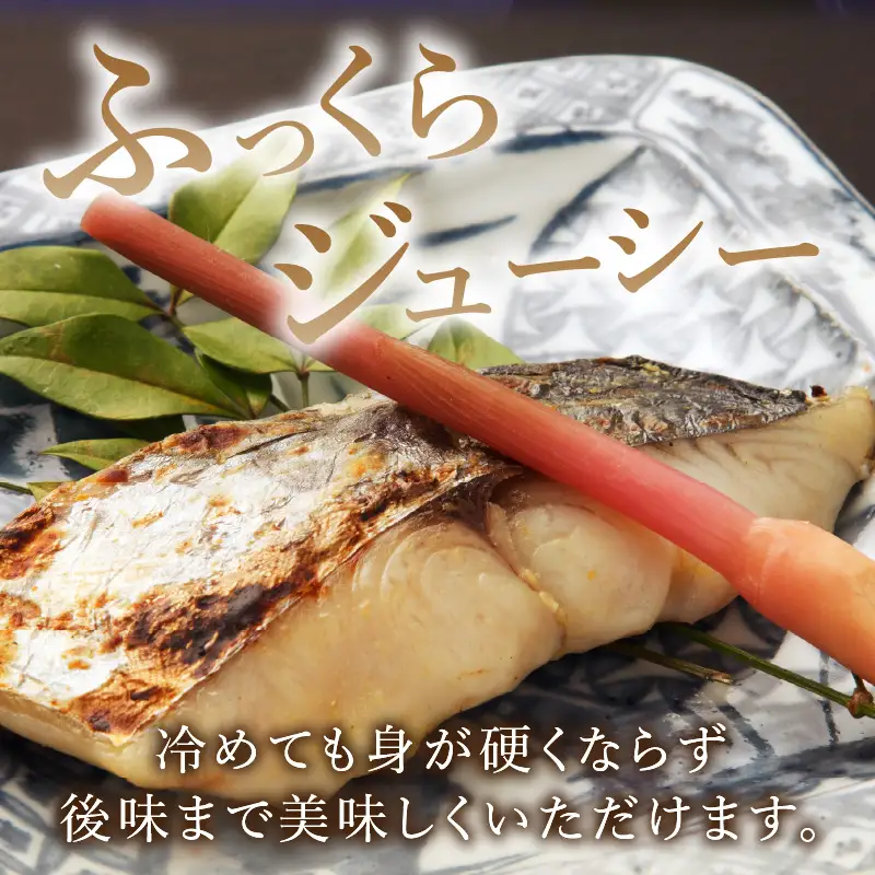 鰆ソフト干物【058D-006】