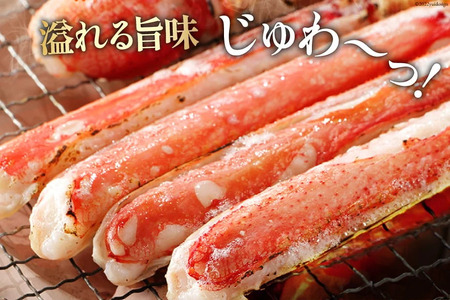 10-8L 生ずわいがに 半むき身 約2.6kg [宮城県 気仙沼市 20564353] かに カニ 蟹