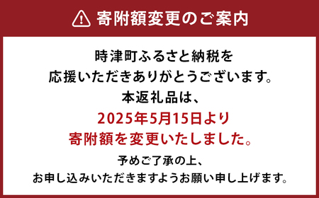 【定期便 4回コース】時津の果物定期便 みかんとぶどうの町から贈る 特産品の定期便 定期便 4回 果物 くだもの フルーツ シャインマスカット 巨峰 みかん 不知火