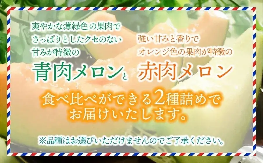 【令和8年産先行予約】 庄内砂丘青肉・赤肉メロン食べ比べ 各2玉 (計4玉) 約5kg 山形県鶴岡市産　株式会社 元青果　| メロン めろん 青肉メロン 赤肉メロン 5キロ 山形 鶴岡 庄内 庄内産 東北 フルーツ 果物 くだもの 夏 旬 人気 おすすめ 美味しい お取り寄せ 返礼品