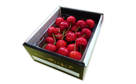 【令和8年産先行予約】 さくらんぼ 「紅秀峰」 約500g (特秀 2L) 《令和8年6月下旬～発送》 『マルエ青果』 先行予約 サクランボ 果物 フルーツ 山形県 南陽市 [1406]