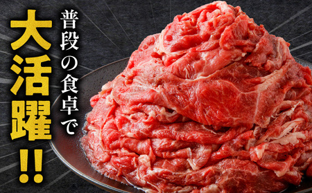 牛肉 宮崎牛 切り落とし 1kg 牛肉